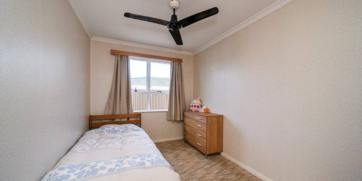 231 Grey Street, City Centre, Manawatu-Wanganui 4414 New Zealand