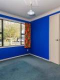 49 Haydon Street, Roslyn, Manawatu-Wanganui 4414 New Zealand