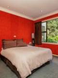 49 Haydon Street, Roslyn, Manawatu-Wanganui 4414 New Zealand