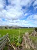 32 Tokomaru E Rd, Tokomaru, Manawatu-Wanganui 4474 New Zealand