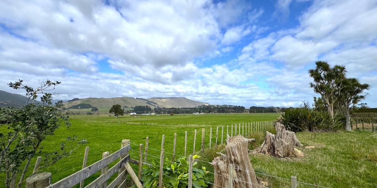 32 Tokomaru E Rd, Tokomaru, Manawatu-Wanganui 4474 New Zealand