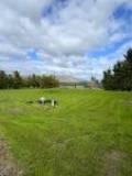 32 Tokomaru E Rd, Tokomaru, Manawatu-Wanganui 4474 New Zealand