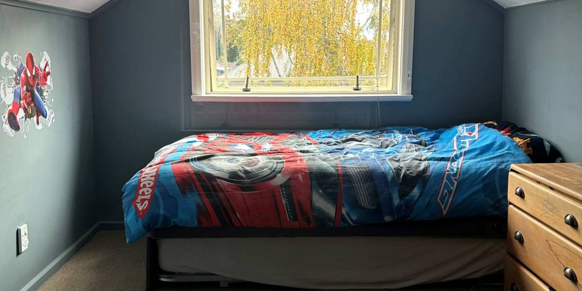 12 Winston Ave, Hokowhitu, Manawatu-Wanganui 4410 New Zealand