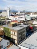 157 Broadway Ave, City Centre, Manawatu-Wanganui 4410 New Zealand