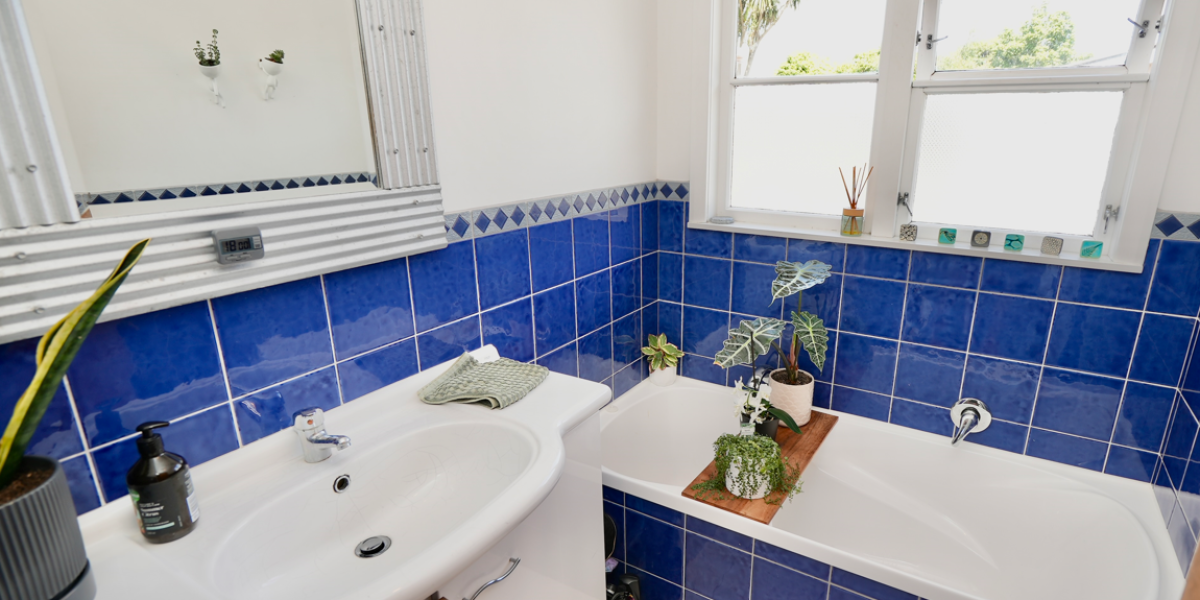 74 Long Melford Rd, Awapuni, Manawatu-Wanganui 4412 New Zealand