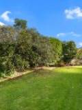 80 Birmingham St, Takaro, Manawatū-Whanganui Region 4412 New Zealand