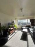 41B Milverton Ave, Hokowhitu, Manawatū-Whanganui 4410 New Zealand