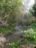 92 Arcus Rd, Te Horo, Wellington Region 5582 New Zealand
