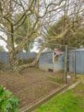 28 Ormond St, Woodville, Tararua 4920 New Zealand