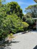 28 Rewarewa Cres, Waikanae, Wellington Region 5036 New Zealand