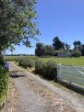 554A Porewa Rd, Marton, Manawatū-Whanganui Region 4787 New Zealand
