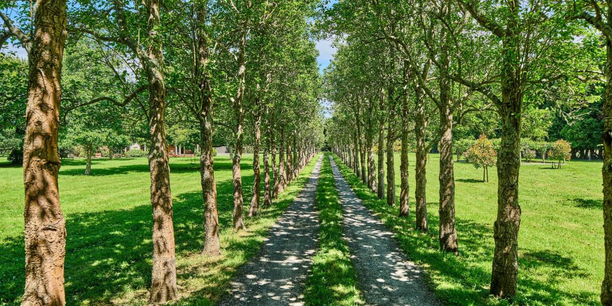 96 Arcus Rd, Te Horo, Wellington 5582 New Zealand