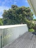 1a Field Way, Waikanae Beach, Wellington Region 5036 New Zealand