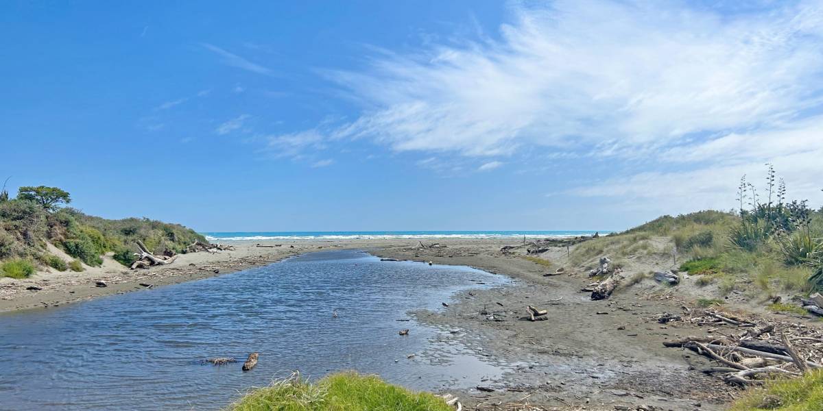 1a Field Way, Waikanae Beach, Wellington Region 5036 New Zealand