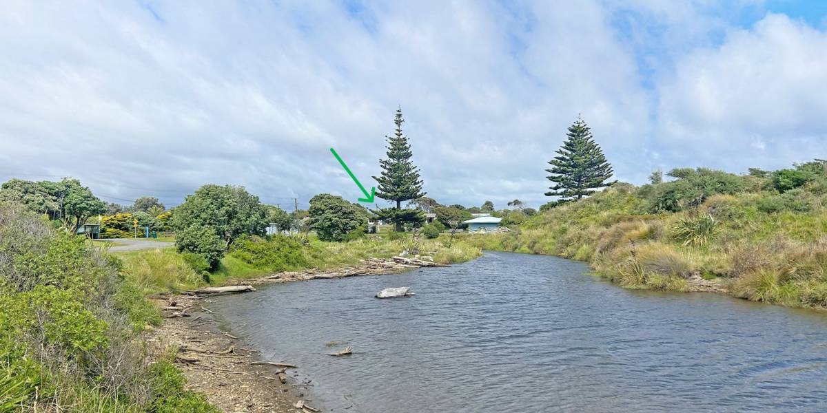 1a Field Way, Waikanae Beach, Wellington Region 5036 New Zealand