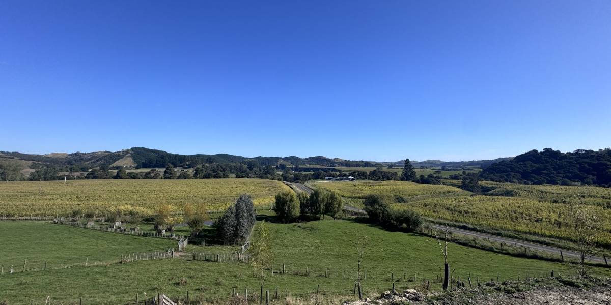 1686 Turakina Valley Rd, Marton, Manawatū-Whanganui Region 4581 New Zealand