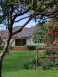 13 Horopito Rd, Waikanae, Wellington Region 5036 New Zealand