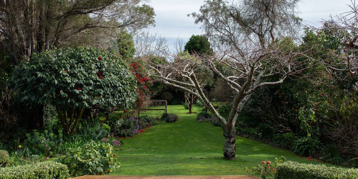 13 Horopito Rd, Waikanae, Wellington Region 5036 New Zealand