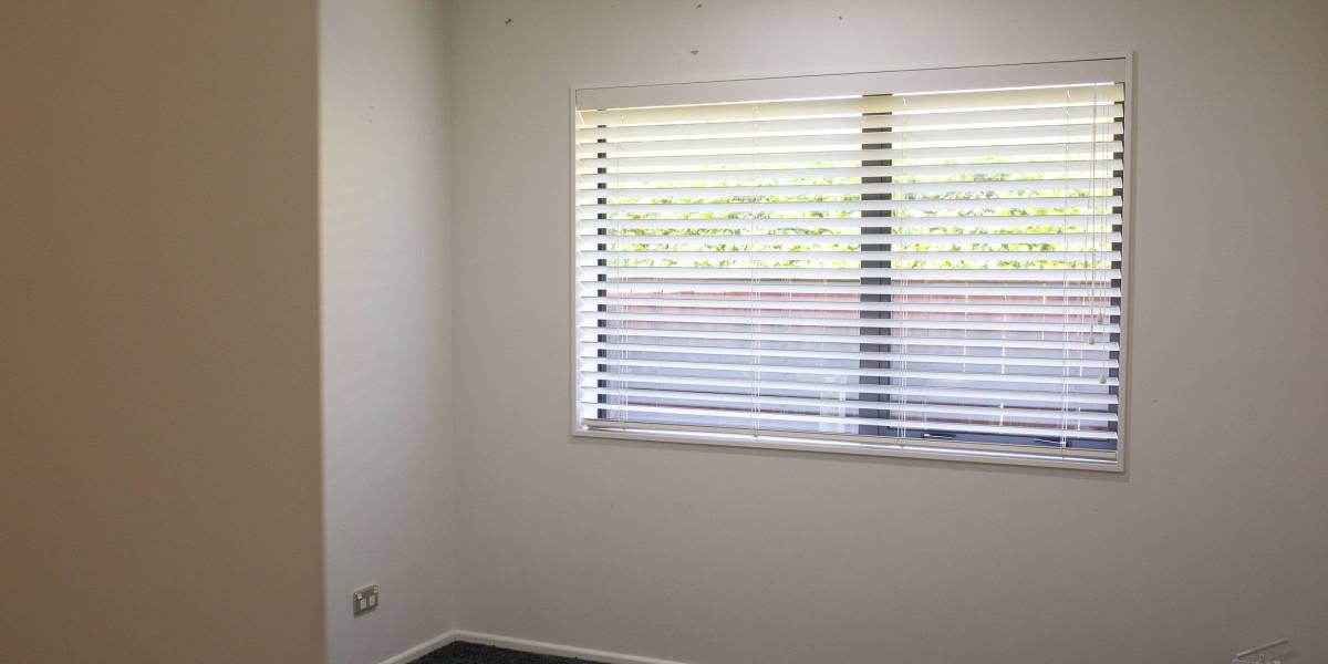 6 Nimmo Ave W, Waikanae, Wellington Region 5036 New Zealand