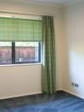 6 Nimmo Ave W, Waikanae, Wellington Region 5036 New Zealand