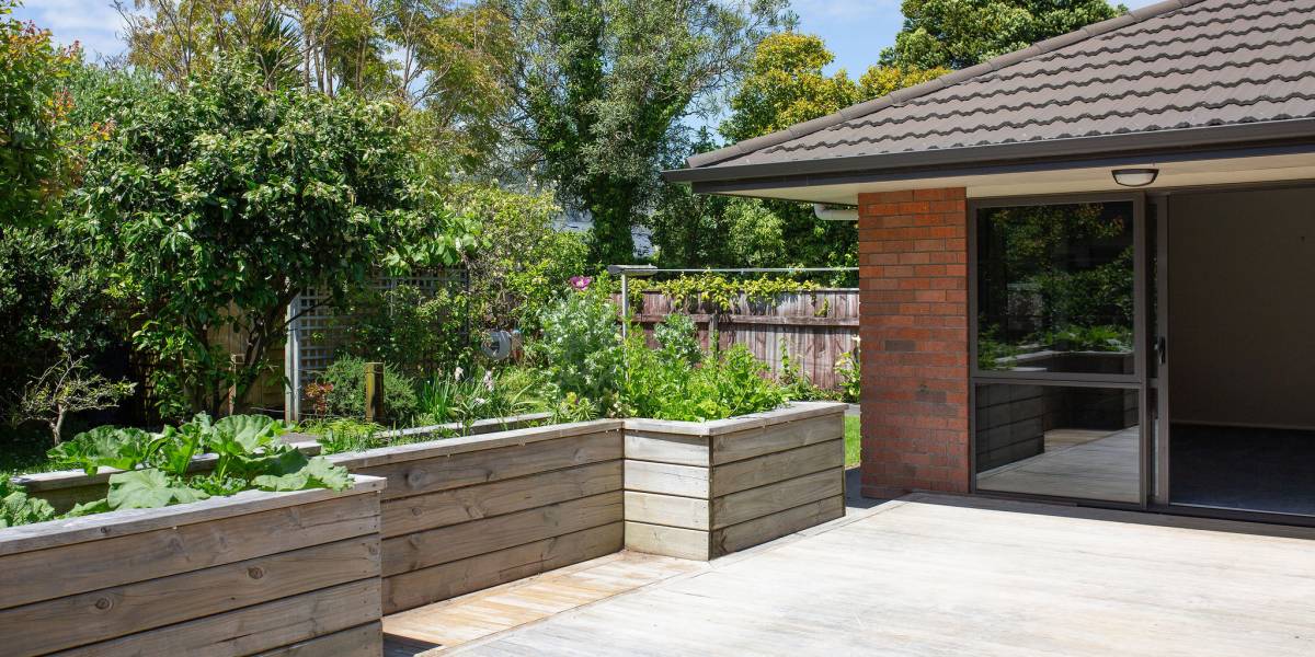 6 Nimmo Ave W, Waikanae, Wellington Region 5036 New Zealand