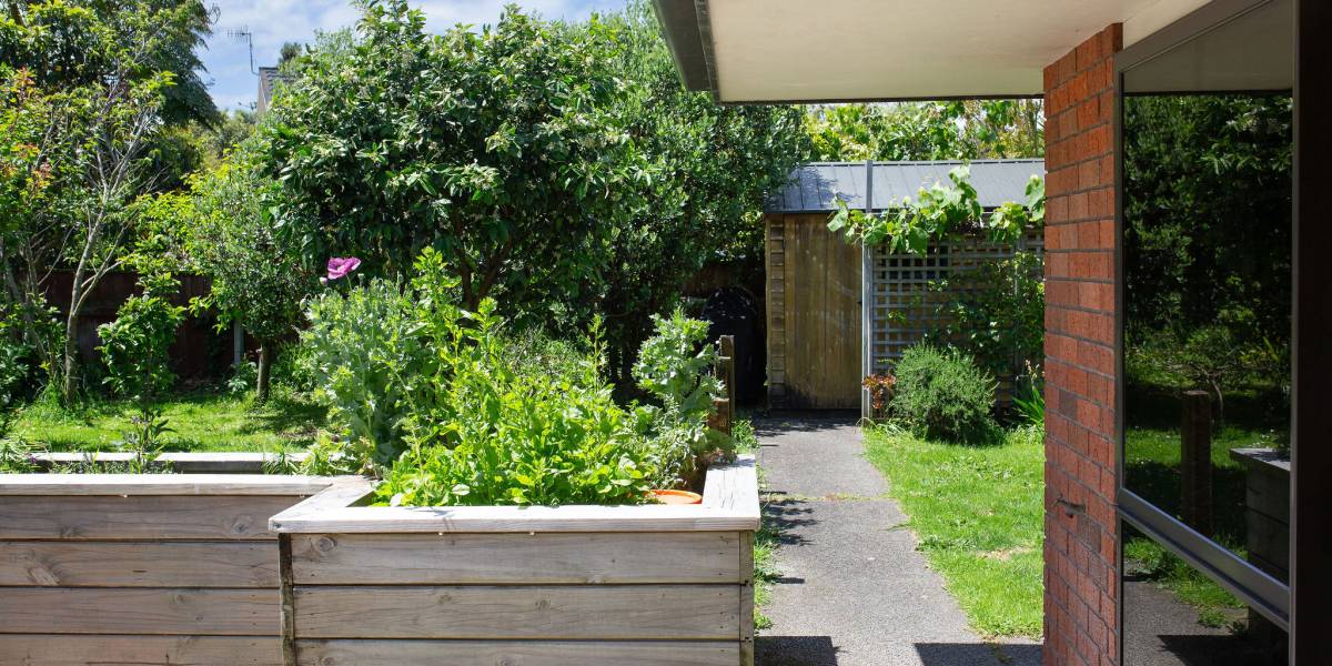 6 Nimmo Ave W, Waikanae, Wellington Region 5036 New Zealand