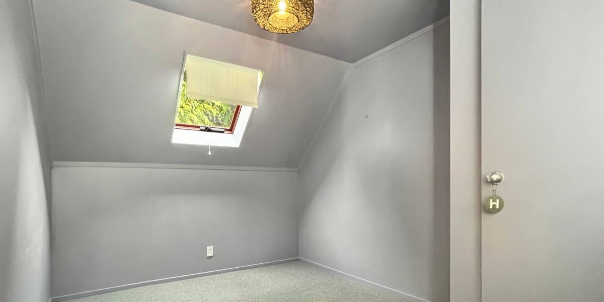 7 Matai Rd, Raumati South, Wellington 5032 New Zealand