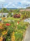 1a Field Way, Waikanae Beach, Wellington Region 5036 New Zealand