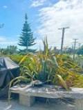 1a Field Way, Waikanae Beach, Wellington Region 5036 New Zealand