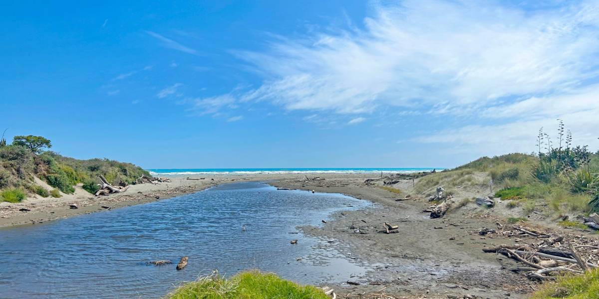 1a Field Way, Waikanae Beach, Wellington Region 5036 New Zealand