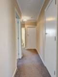 726 Tremaine Ave, Palmerston, Manawatū-Whanganui Region 4414 New Zealand