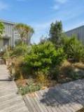 14 Beachview Grove, Peka Peka, Wellington Region 5391 New Zealand